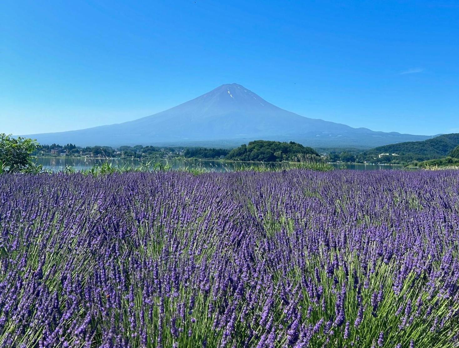 Moonlightvilla 河口湖大橋 Fujikawaguchiko Bagian luar foto