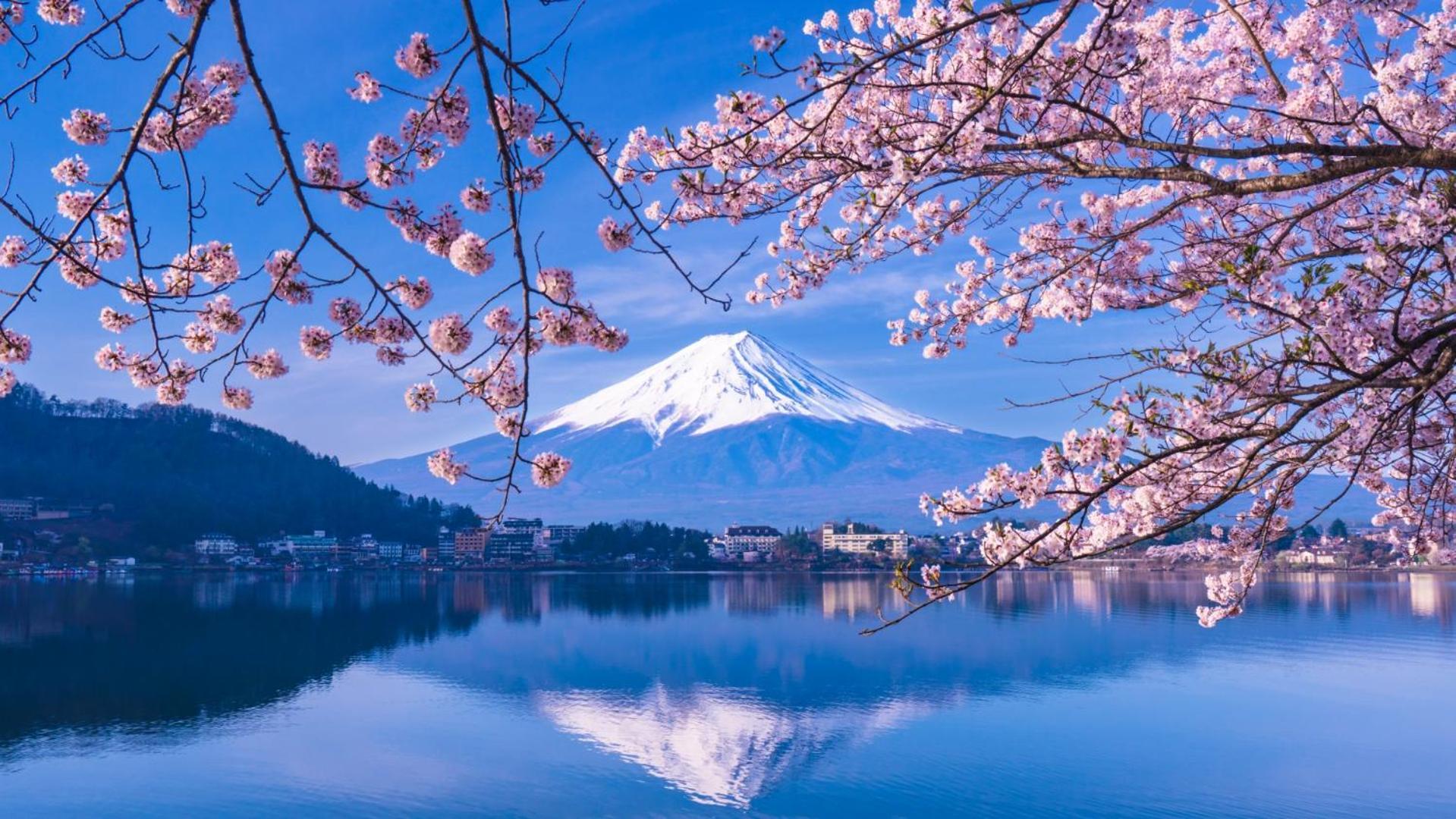 Moonlightvilla 河口湖大橋 Fujikawaguchiko Bagian luar foto